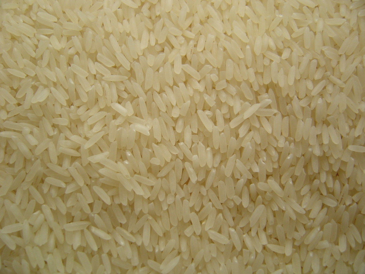 Rice